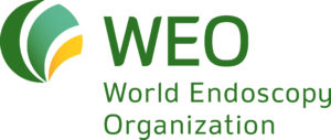 WEO_Logo_high res