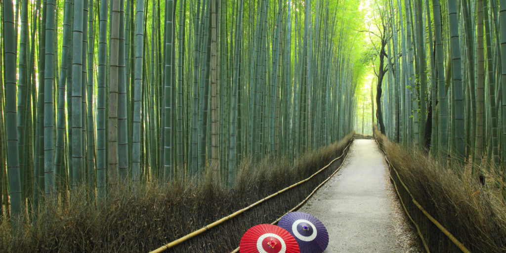 Historic path at the Arashiyama bamboo forest in Kyoto.